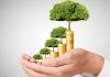 Investment Opportunities In Amarillo